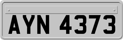 AYN4373