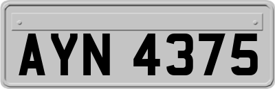 AYN4375