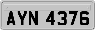 AYN4376