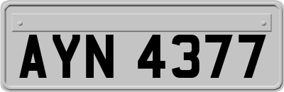 AYN4377