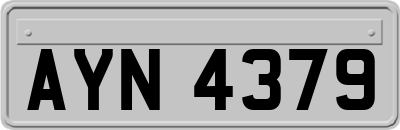 AYN4379