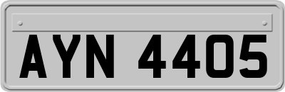 AYN4405