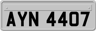 AYN4407