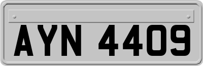 AYN4409