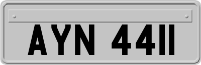 AYN4411