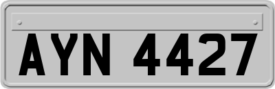 AYN4427