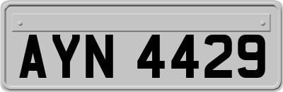 AYN4429