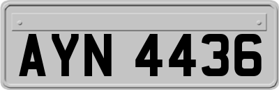 AYN4436