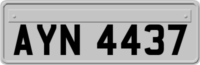 AYN4437