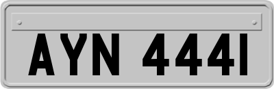AYN4441