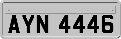 AYN4446
