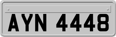 AYN4448