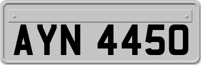 AYN4450