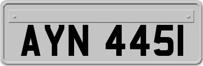 AYN4451