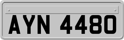 AYN4480
