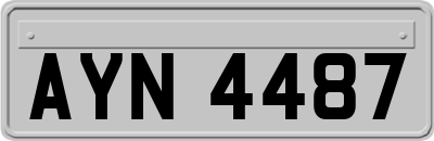 AYN4487