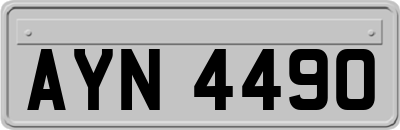 AYN4490