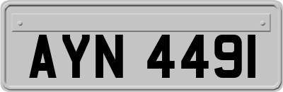 AYN4491