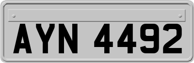 AYN4492