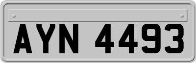 AYN4493