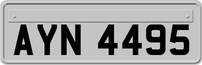 AYN4495