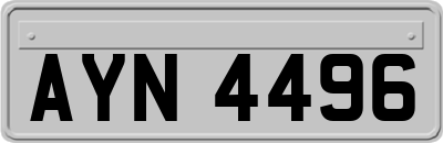 AYN4496
