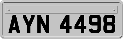 AYN4498