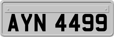 AYN4499