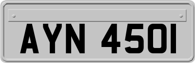 AYN4501
