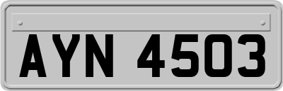 AYN4503