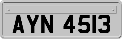 AYN4513