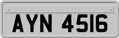 AYN4516