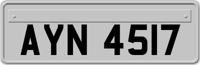 AYN4517
