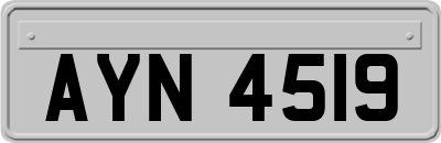 AYN4519