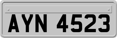 AYN4523