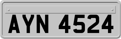 AYN4524
