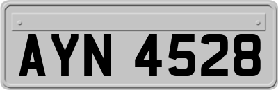 AYN4528
