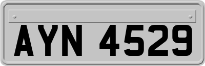 AYN4529