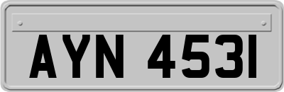 AYN4531