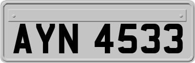 AYN4533