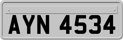 AYN4534