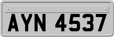 AYN4537