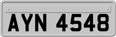 AYN4548