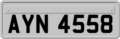 AYN4558