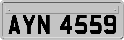 AYN4559