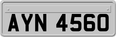 AYN4560