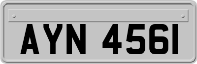 AYN4561