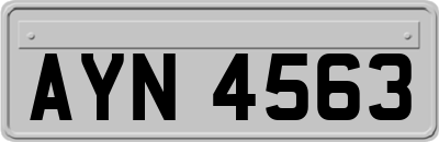 AYN4563