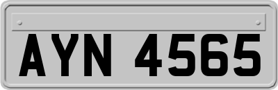 AYN4565