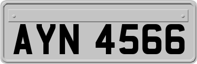 AYN4566